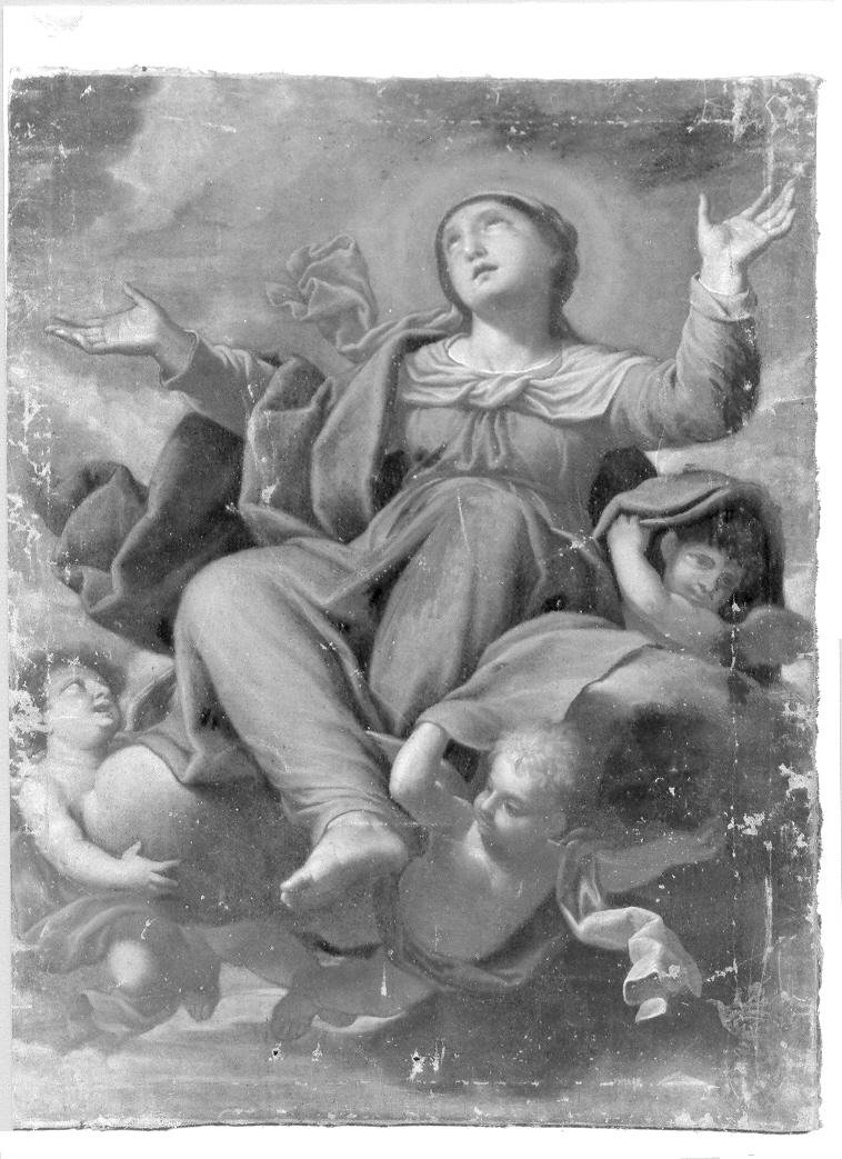 assunzione della Madonna (dipinto) di Fanelli Pier Simone (sec. XVII)