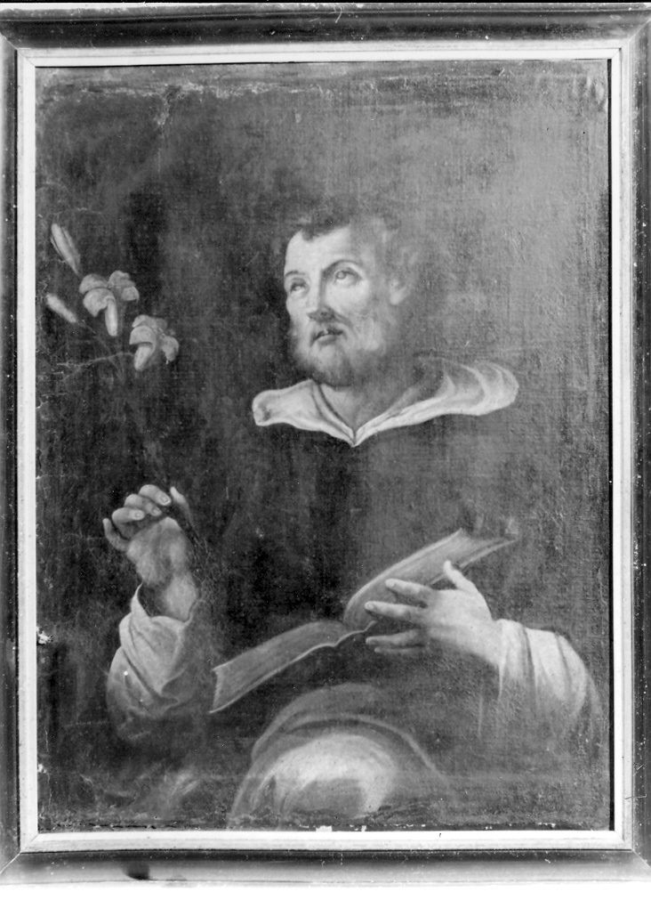 beato Domenico (dipinto) - ambito marchigiano (fine/inizio secc. XVIII/ XIX)