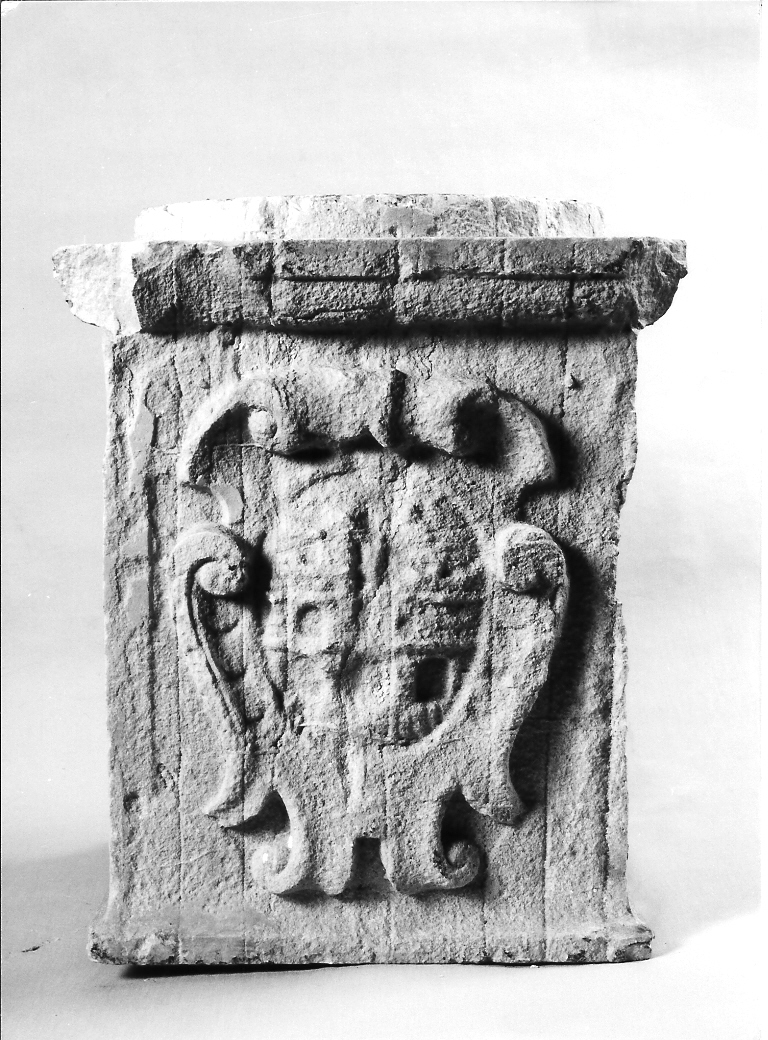 stemma (decorazione plastico-architettonica, frammento) - bottega marchigiana (sec. XVI)