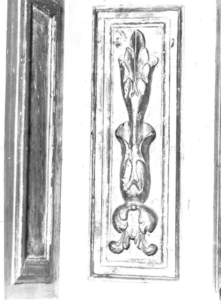 motivo decorativo fitomorfo (decorazione plastica, elemento d'insieme) - bottega marchigiana (sec. XVIII)