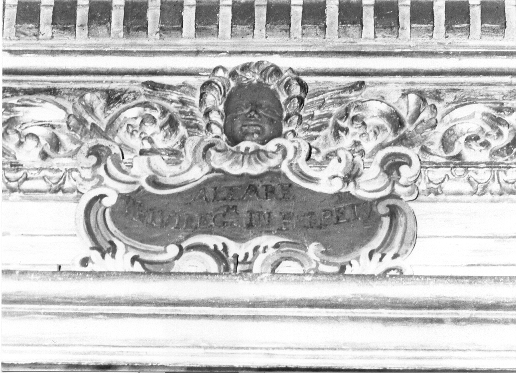 motivo decorativo a cartiglio con cherubino (decorazione plastica, elemento d'insieme) - bottega marchigiana (sec. XVIII)