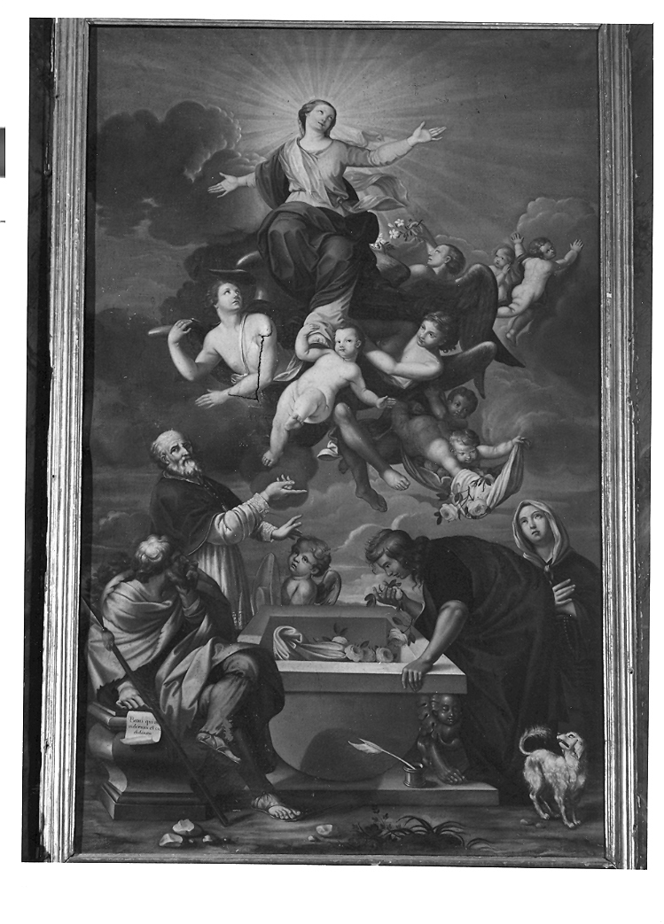assunzione della Madonna e Santi (dipinto) - ambito marchigiano (seconda metà sec. XVIII)