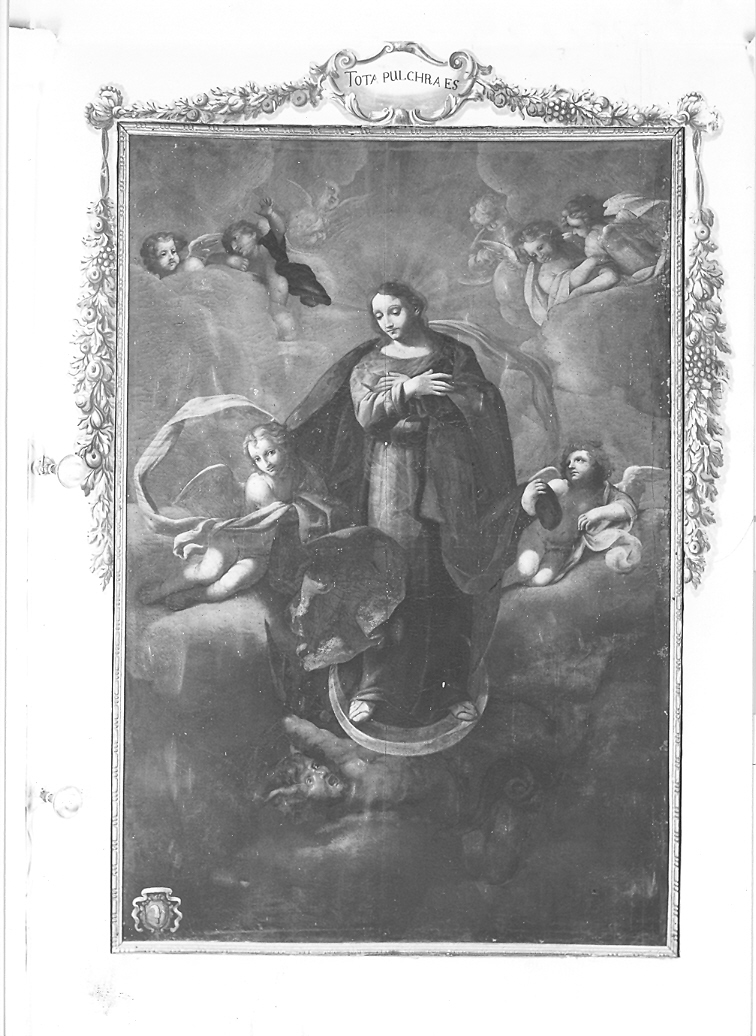 Madonna Immacolata (dipinto, ciclo) di Bastari Francesco (e aiuti) (inizio sec. XVII)