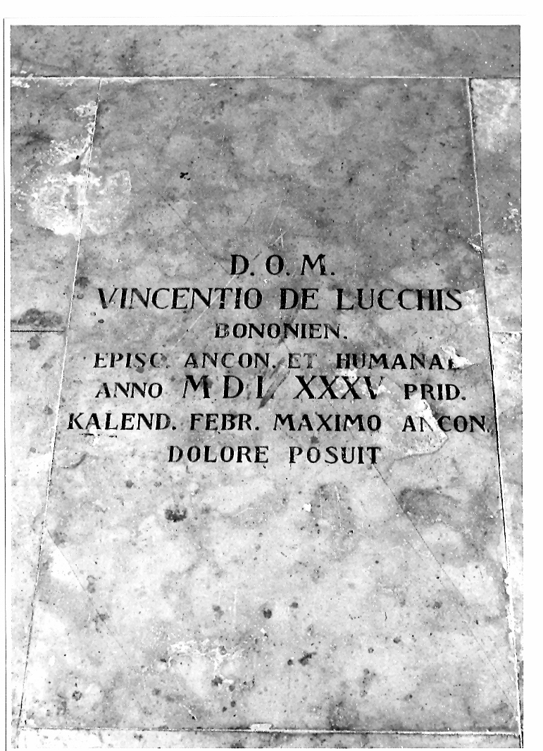 iscrizione (lapide) - bottega marchigiana (sec. XVI)