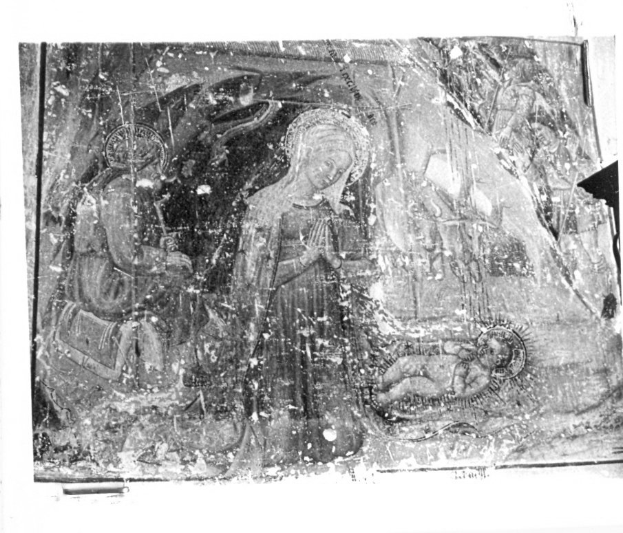 natività di Gesù (dipinto) di Agabiti Pietro Paolo (fine sec. XV)