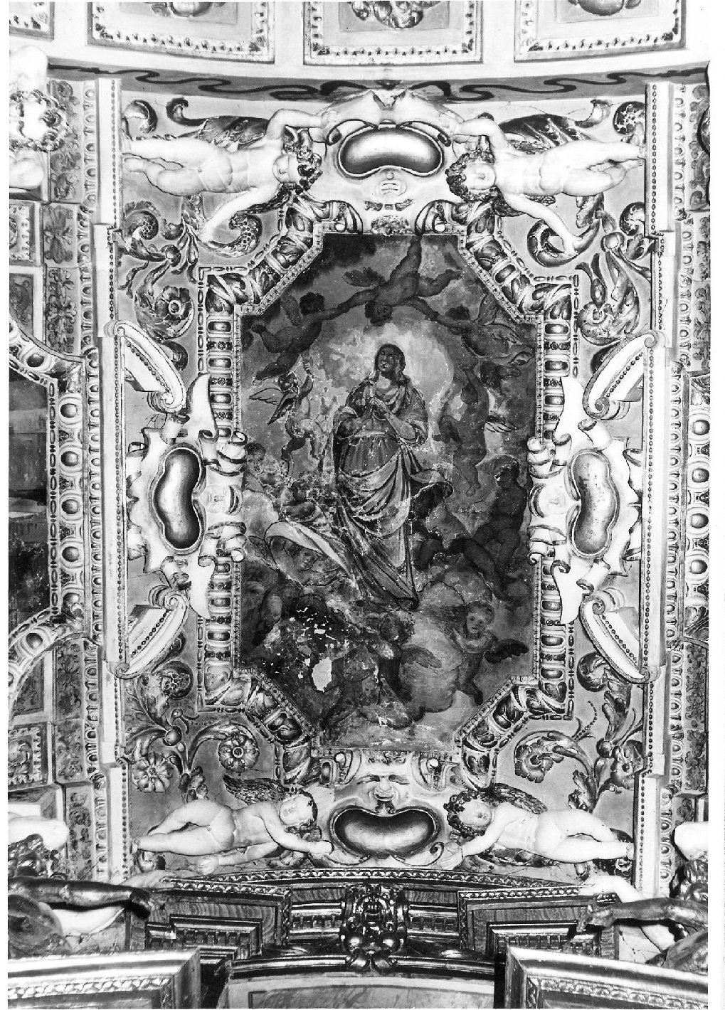 assunzione della Madonna (dipinto) - ambito marchigiano (prima metà sec. XVII)