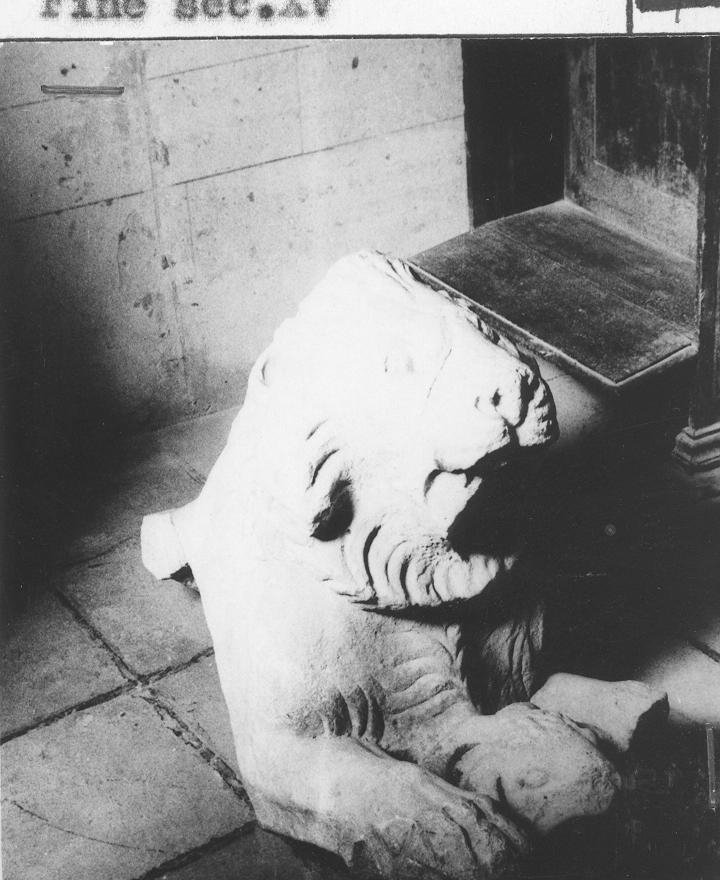 leone (scultura, frammento) - bottega marchigiana (fine sec. XV)