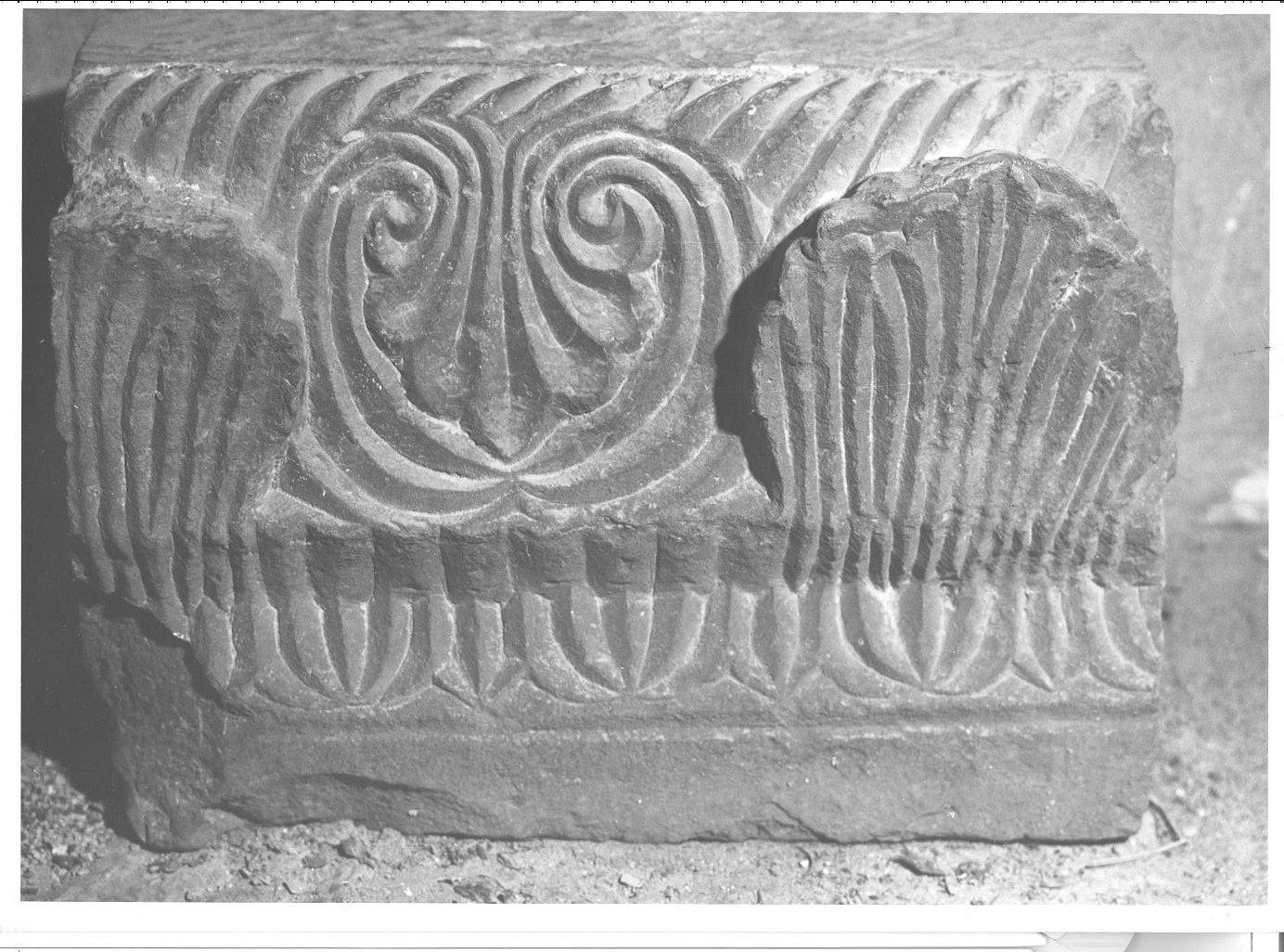 cornice architettonica, frammento - bottega marchigiana (inizio sec. XIII)