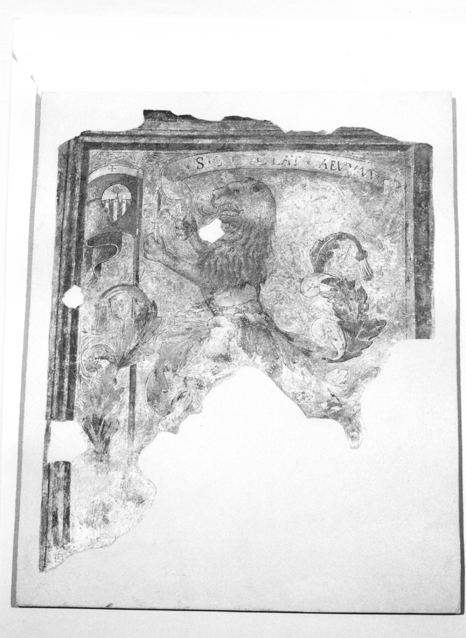 leone (dipinto, frammento) di Agabiti Pietro Paolo (attribuito) (sec. XVI)