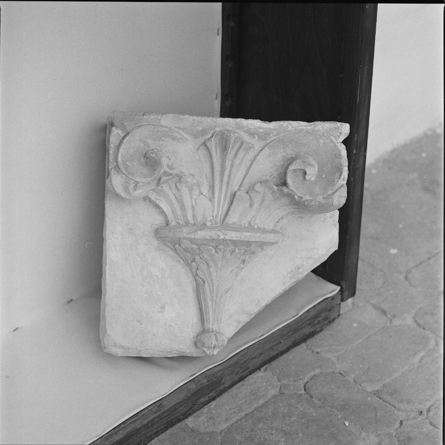 motivo decorativo vegetale (peduccio) - ambito marchigiano (sec. XV)