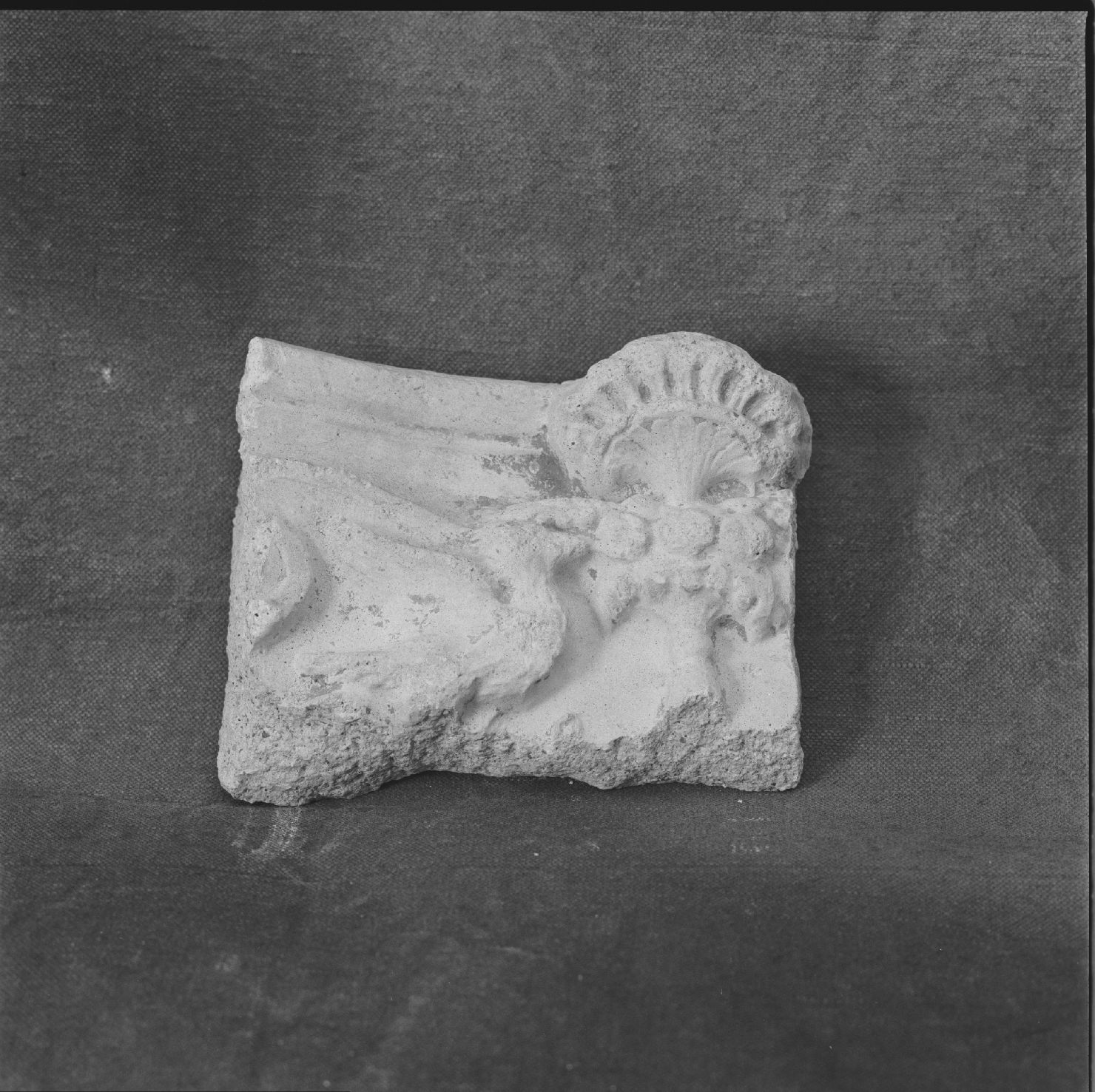 motivo decorativo con uccello (rilievo) - ambito marchigiano (sec. XVI)