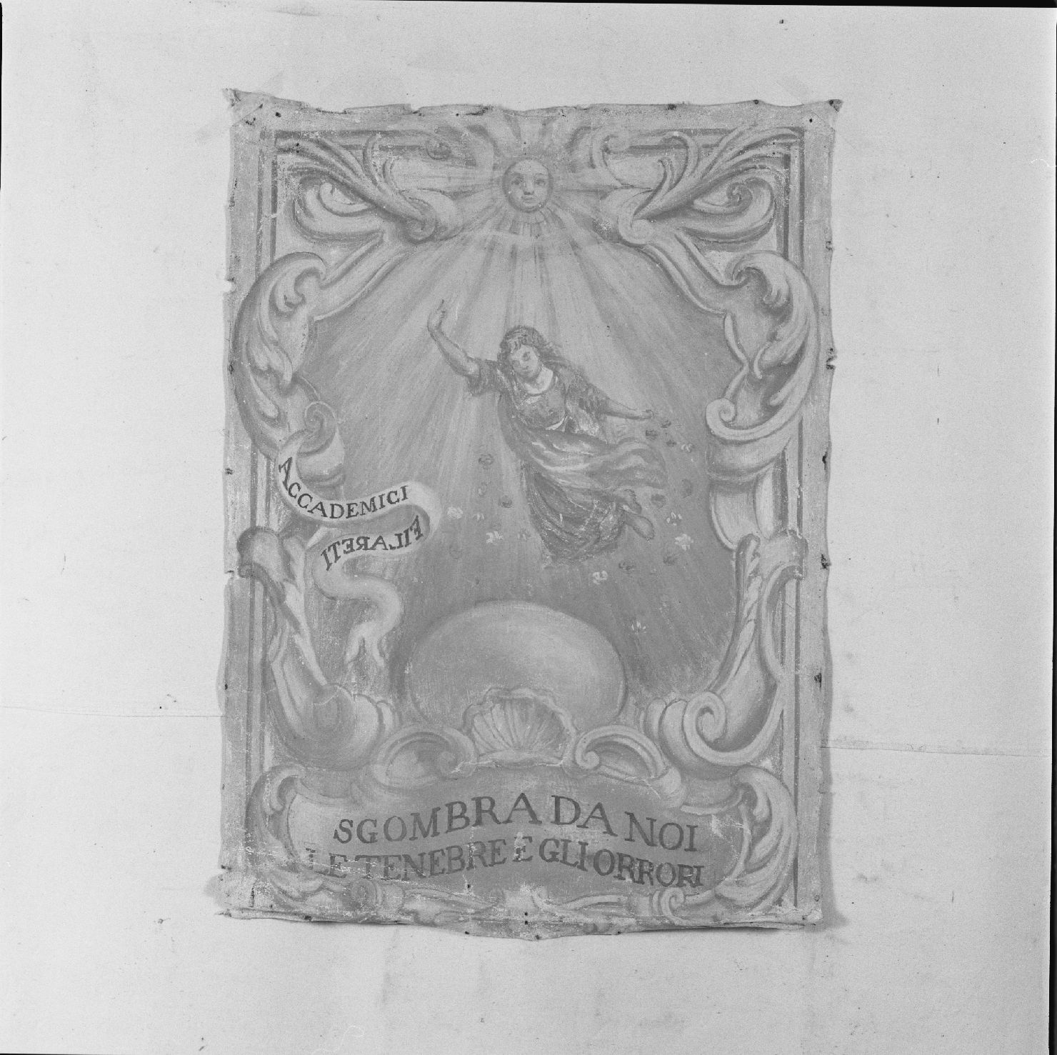 emblema dell'Accademia dei Filareti di Urbania (dipinto) - ambito marchigiano (sec. XVIII)