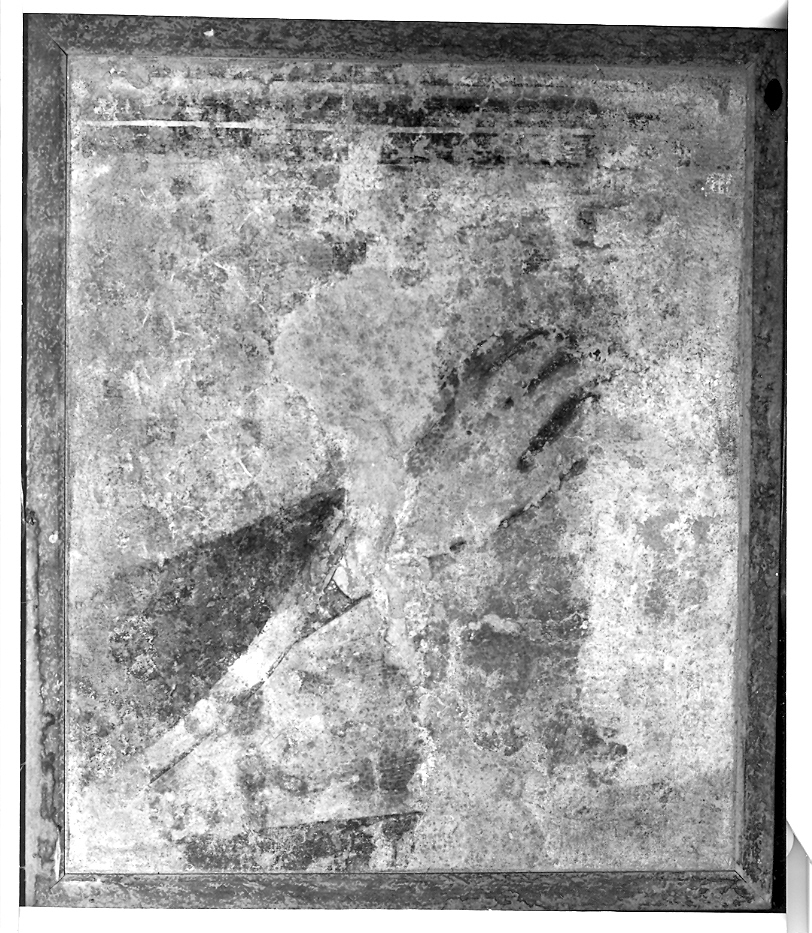 Madonna della Misericordia (dipinto, frammento) di Nuzi Allegretto (scuola) (fine sec. XIV)