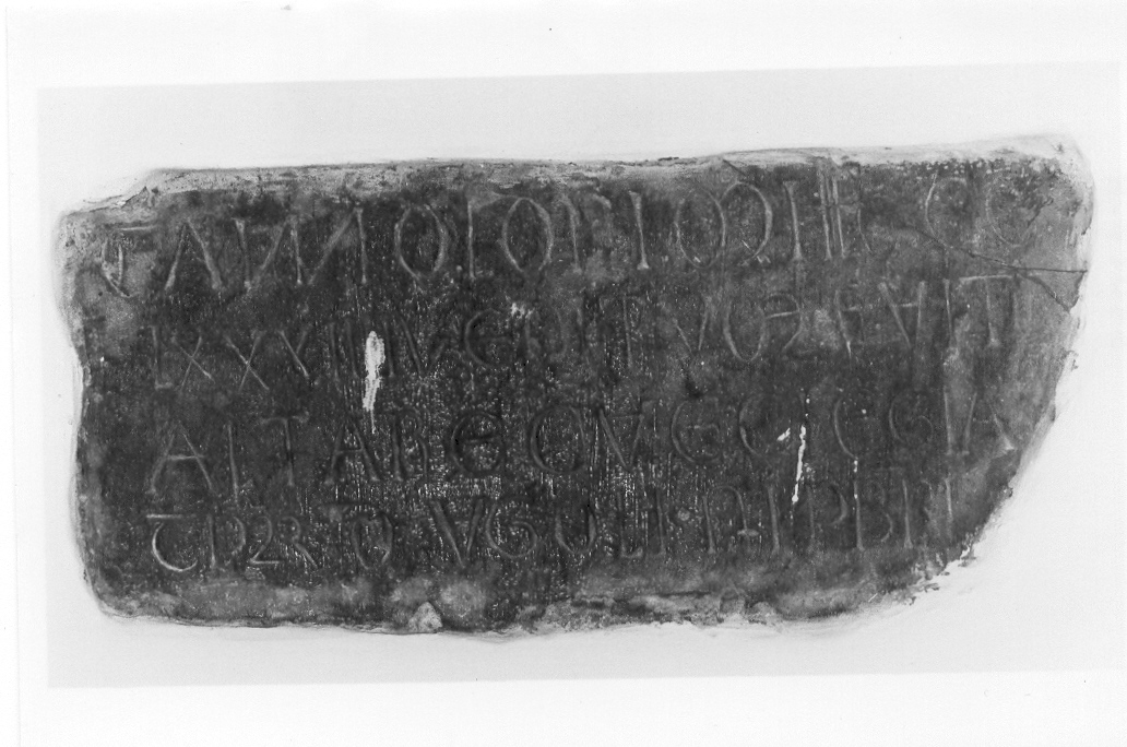 lapide documentaria - bottega marchigiana (sec. XIV)