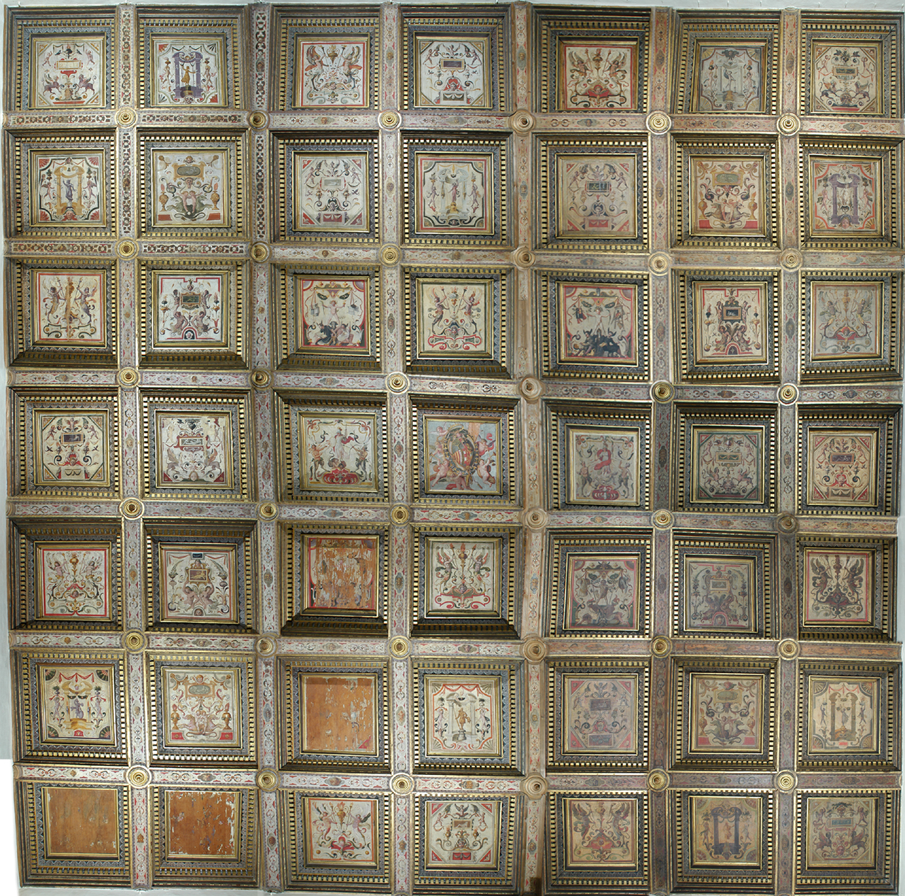 motivi decorativi vegetali, figure allegoriche e stemma Della Rovere (soffitto a cassettoni) di Zuccari Taddeo (sec. XVI)
