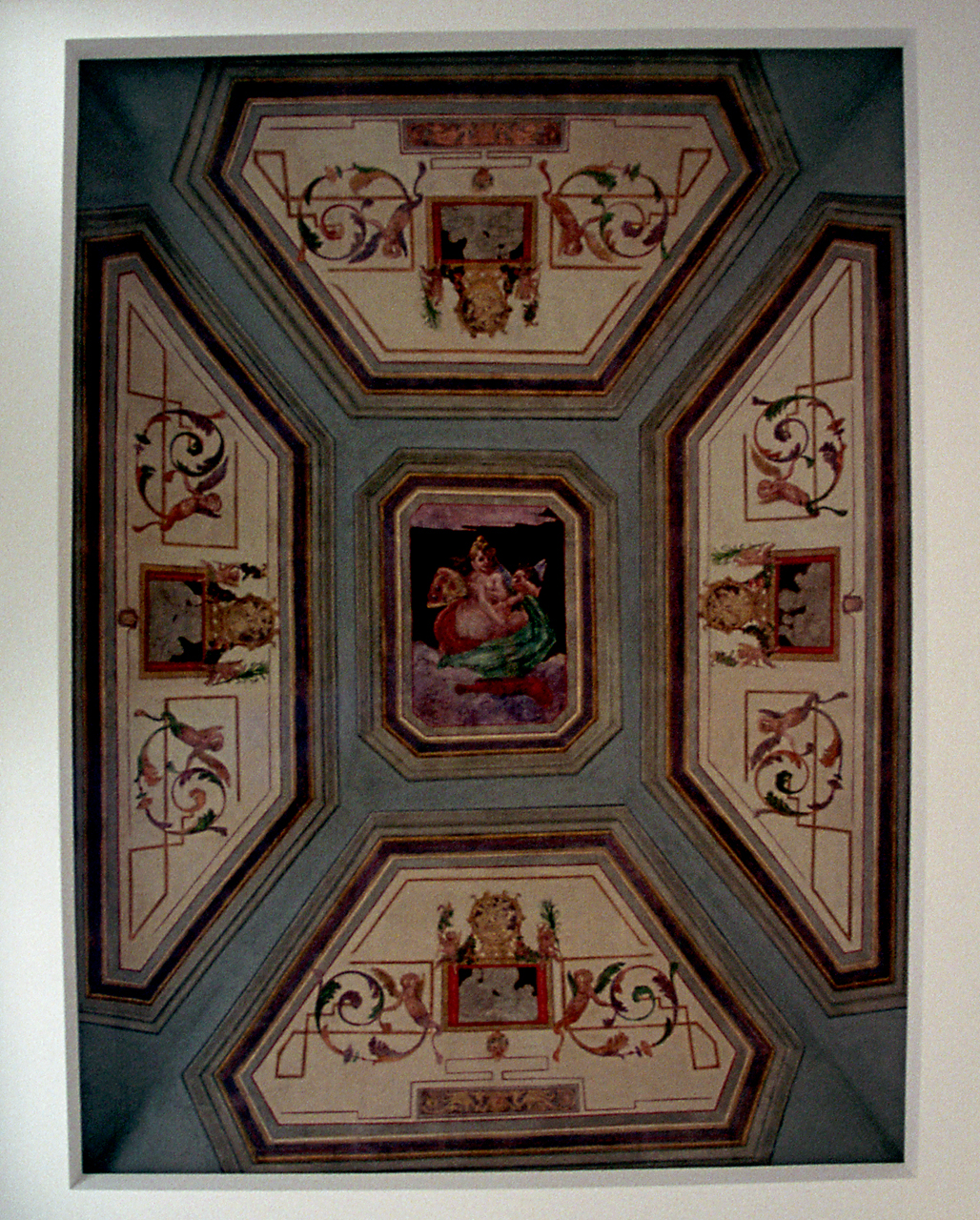 motivi decorativi a girali vegetali con figure alate (soffitto dipinto) - ambito marchigiano (sec. XIX)