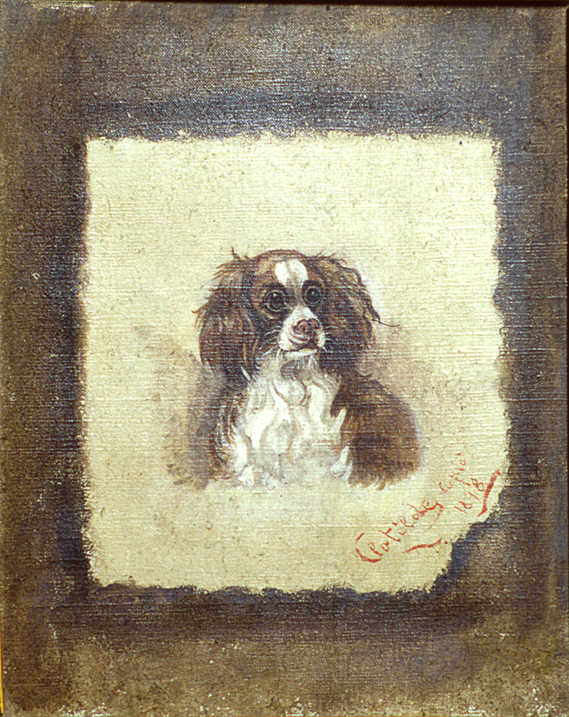 cagnolino (dipinto) di Morozzi Clotilde (sec. XIX)