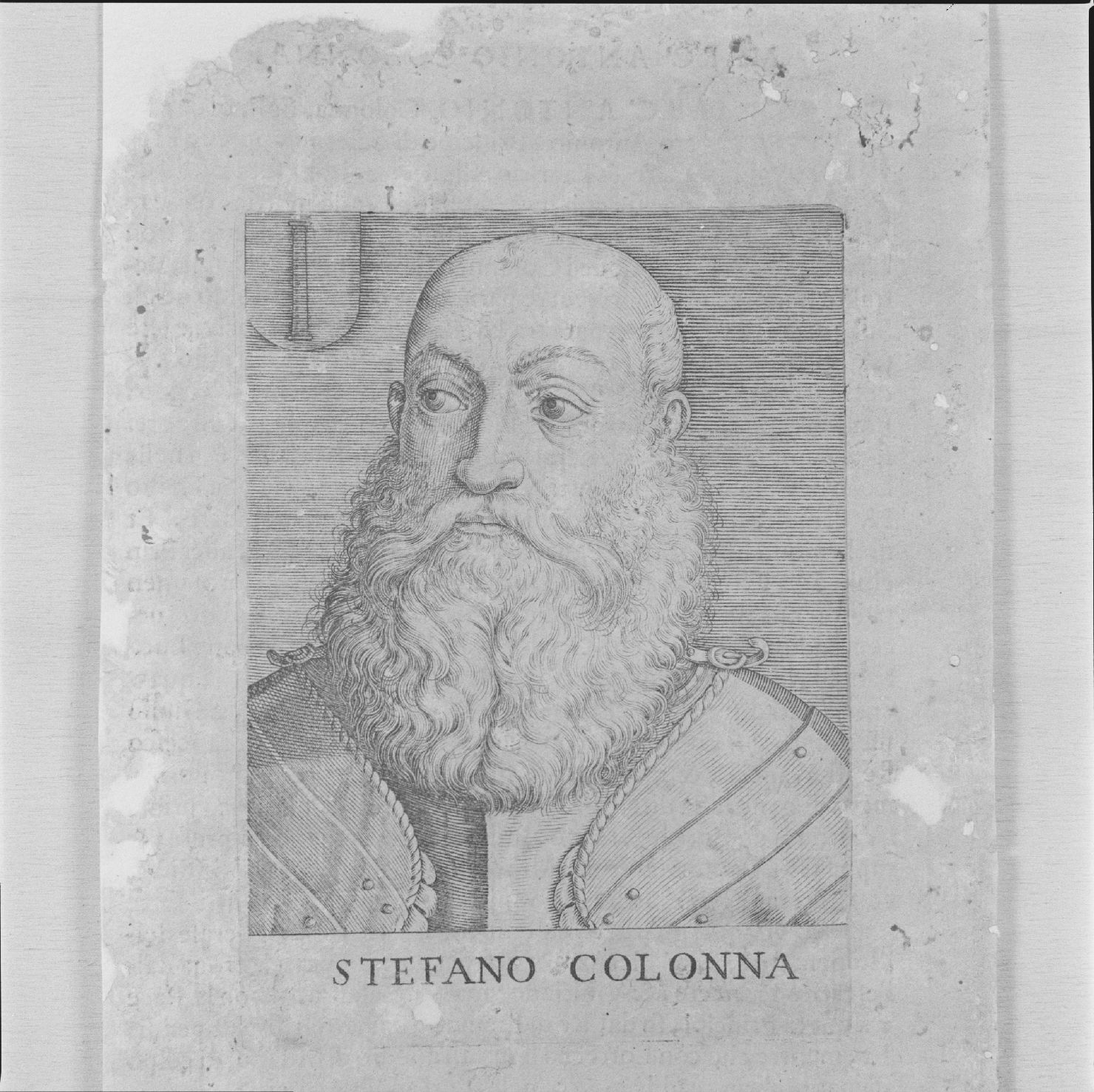 ritratto di Stefano Colonna (stampa, serie) - ambito italiano, ambito italiano, ambito italiano (prima metà sec. XVI)
