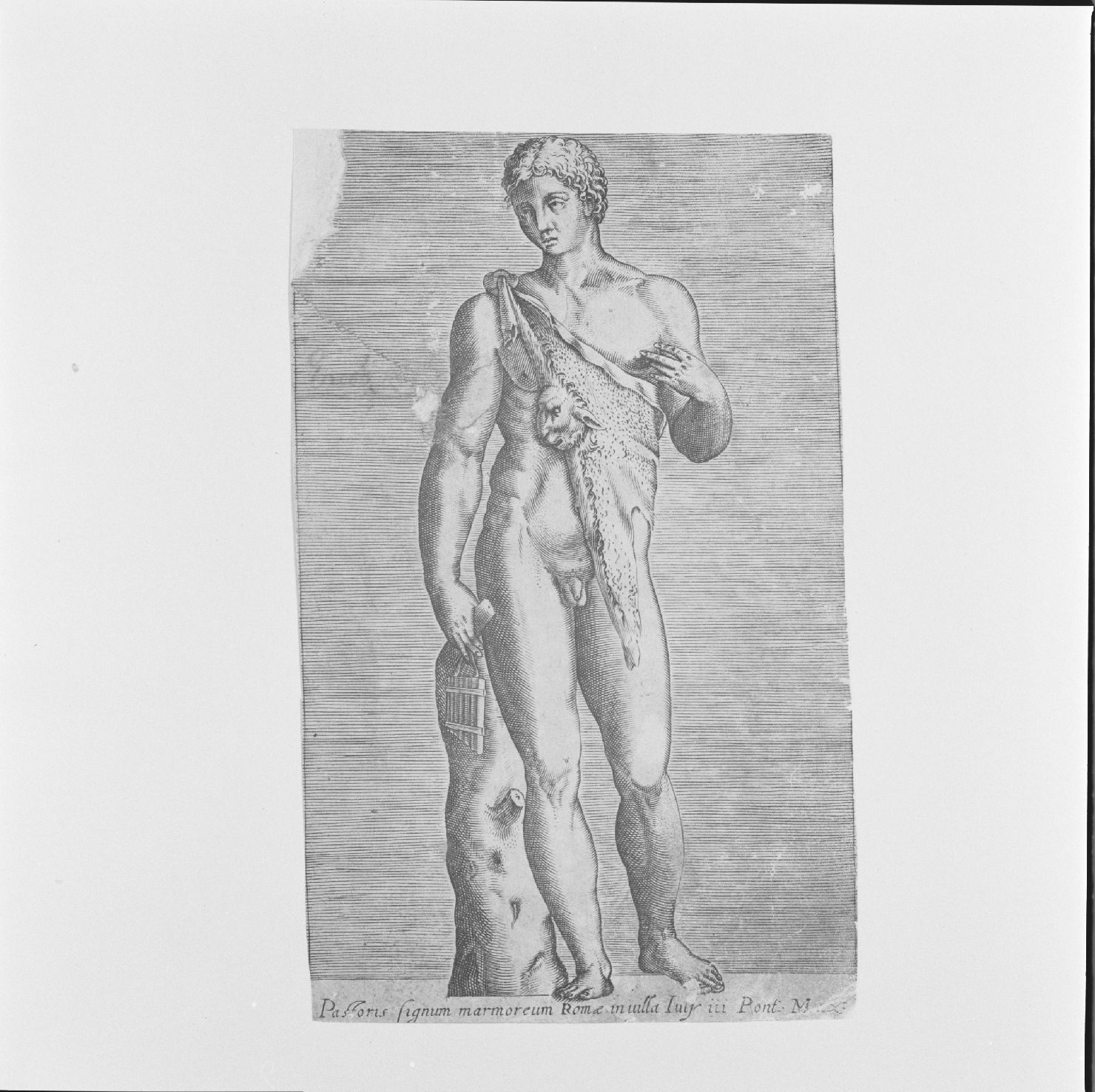 statua dall'antico (stampa) di Scultori Adamo (attribuito) - ambito romano (metà sec. XVI)