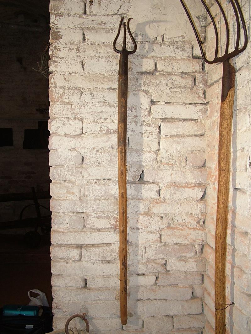 estirpatore di barbabietole - bottega marchigiana (secc. XIX/ XX)