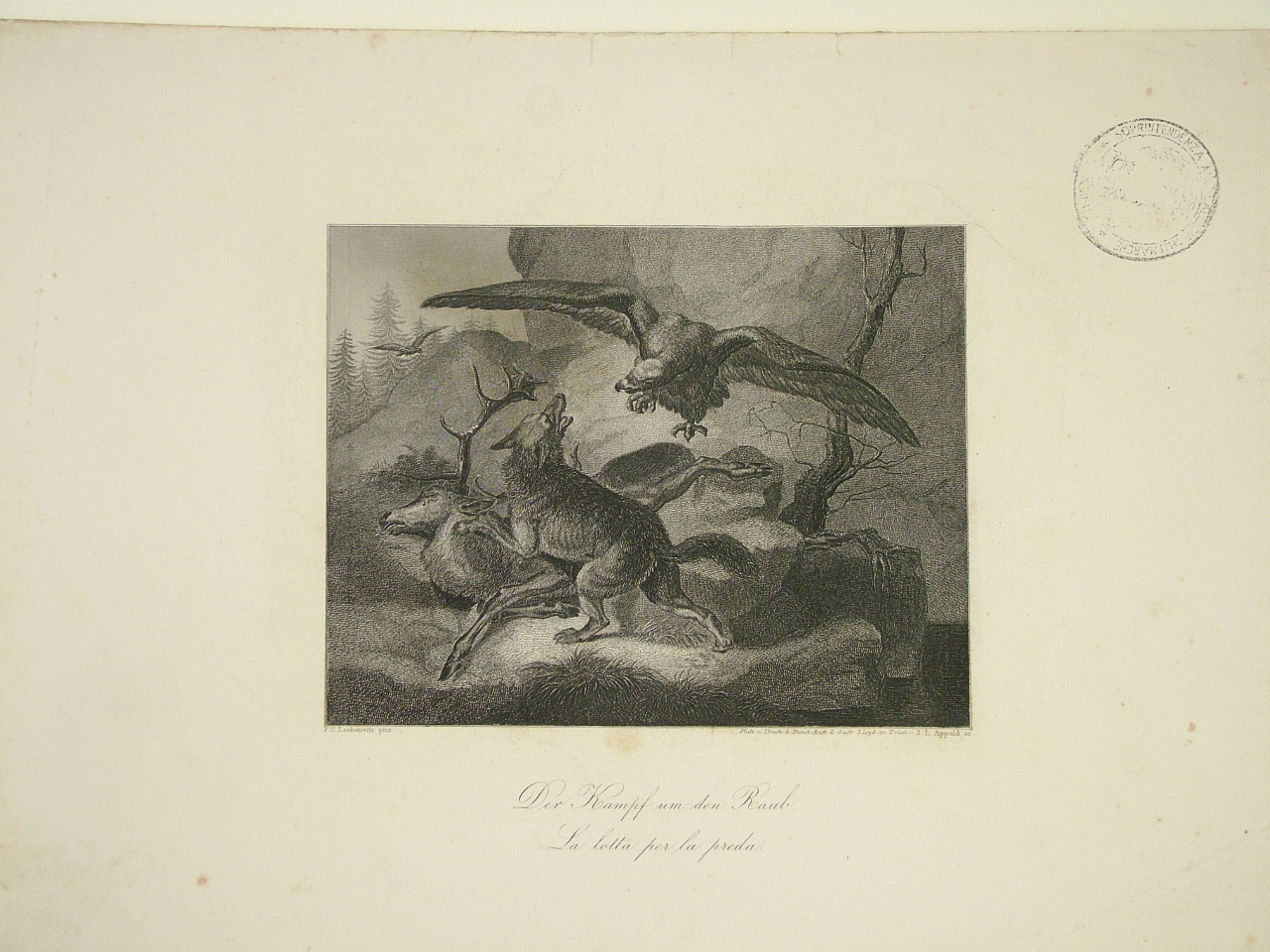 animali (stampa) di Appold Johann Leonhard (sec. XIX)