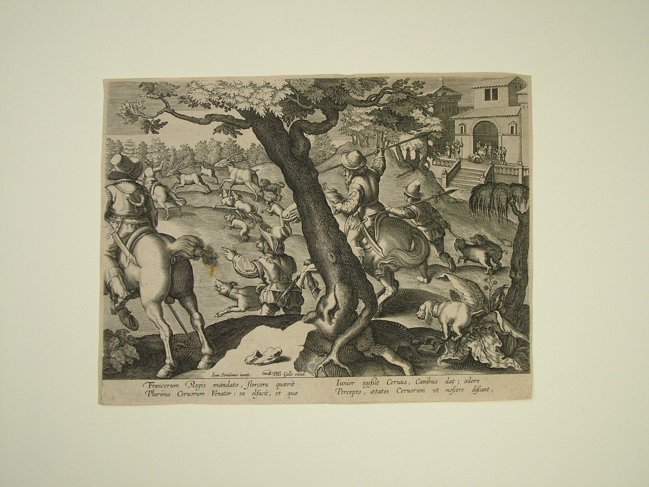caccia al cervo (stampa) di Galle Philip, Collaert Jean (fine/inizio secc. XVI/ XVII)