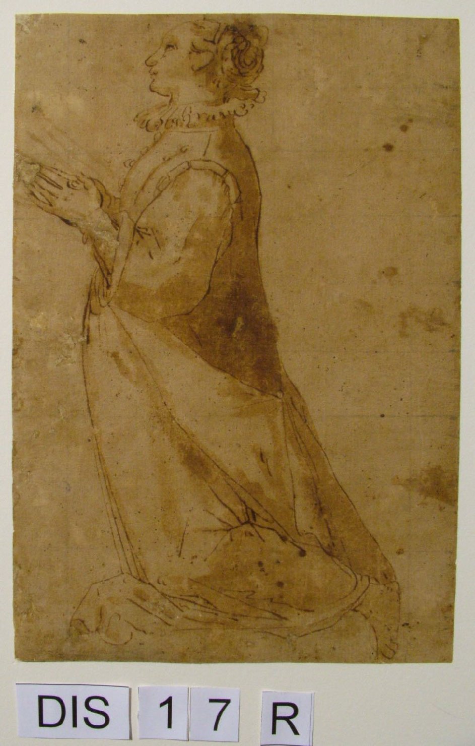 dama orante (disegno) di Barocci Federico (maniera) (inizio sec. XVII)