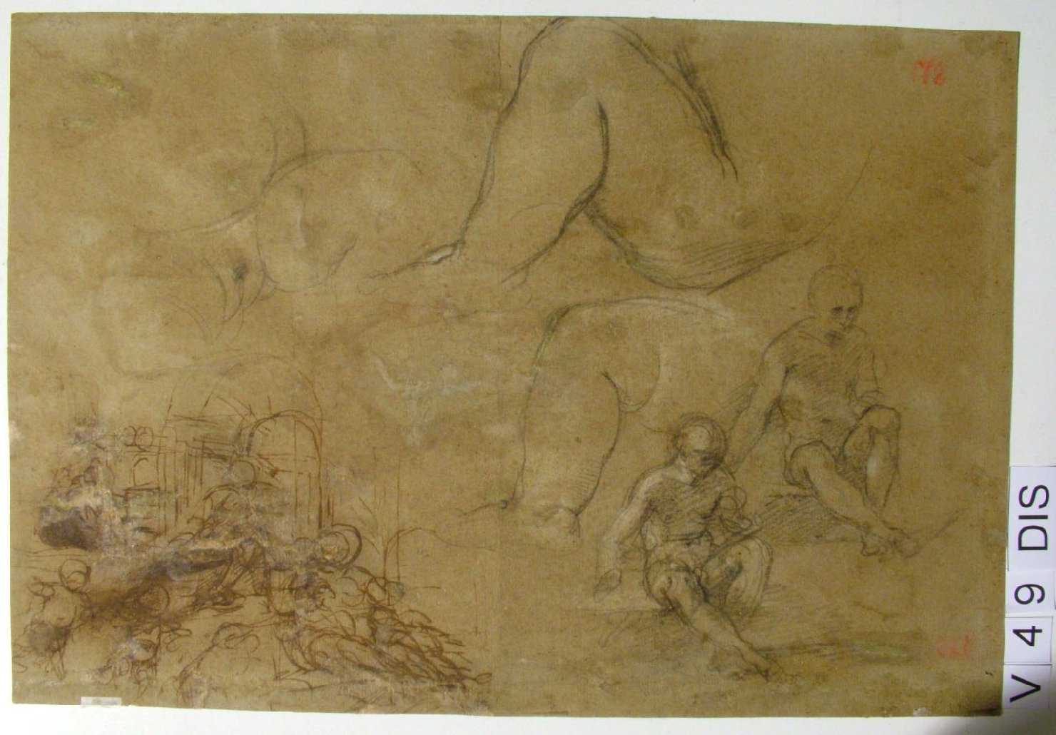 studi anatomici (disegno) di Barocci Federico (seconda metà sec. XVI)