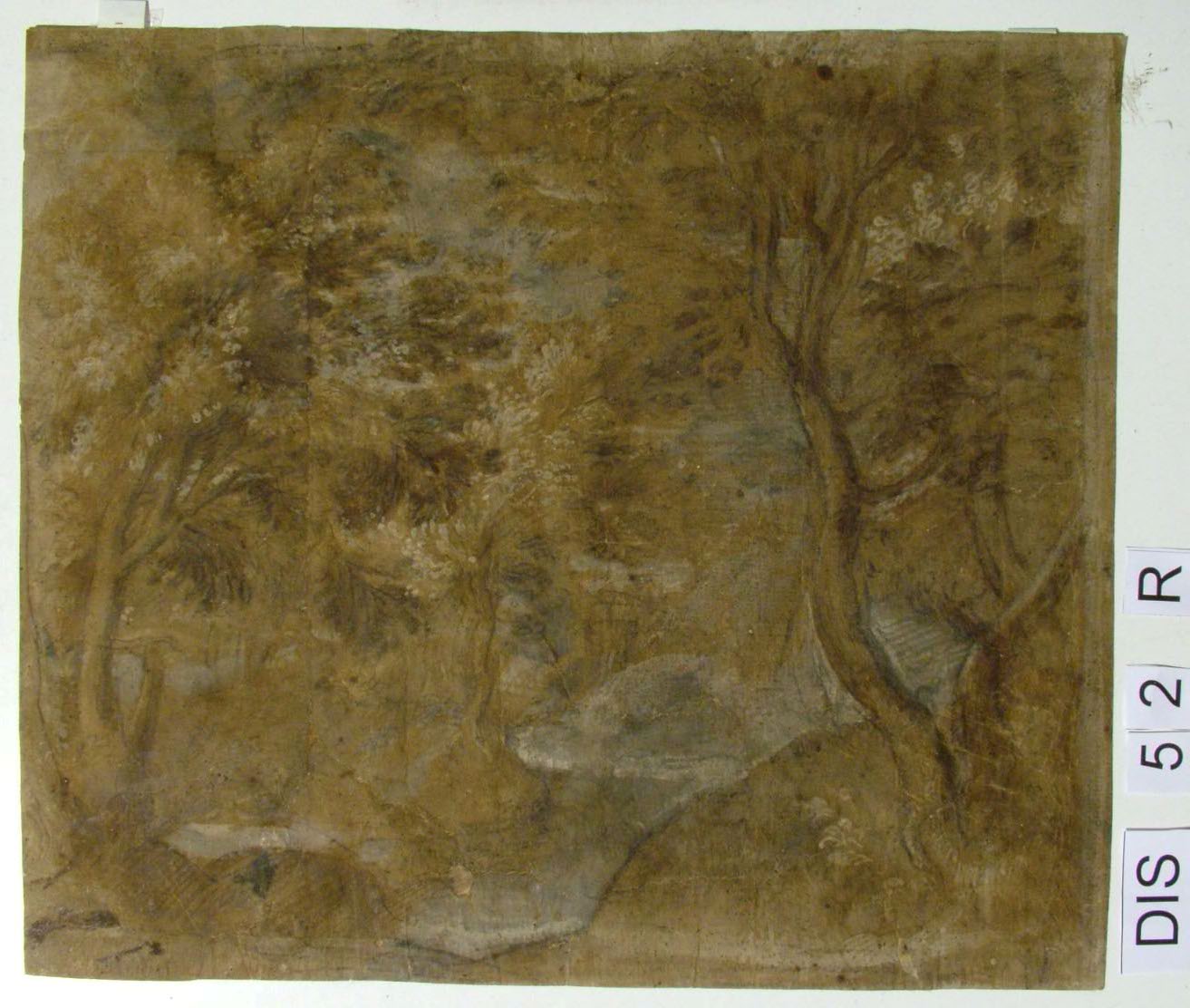 paesaggio con alberi (disegno) di Barocci Federico (seconda metà sec. XVI)