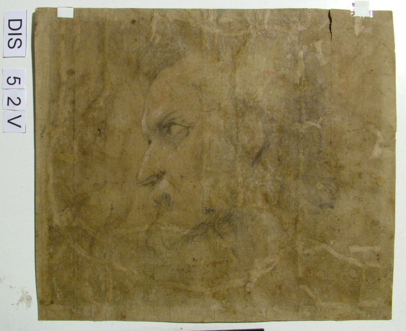 testa d'uomo con barba (disegno) di Barocci Federico (seconda metà sec. XVI)