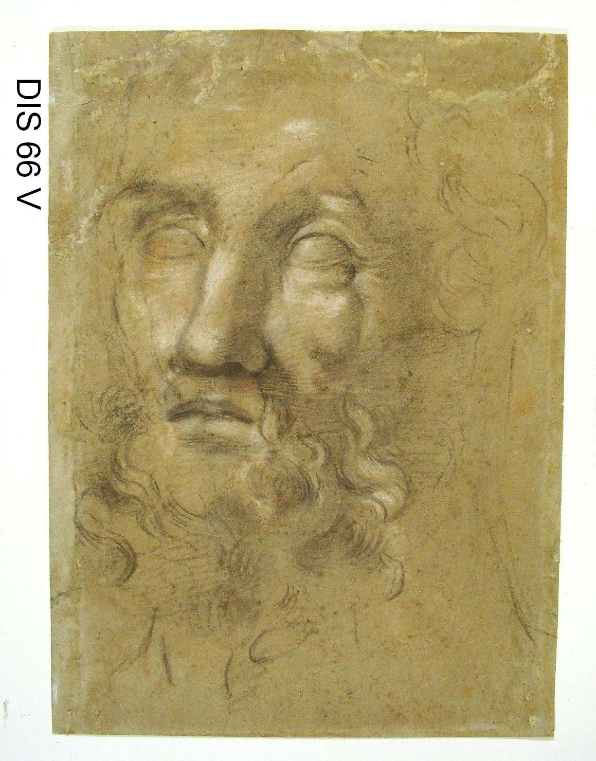 testa d'uomo con barba (disegno) di Barocci Federico (scuola) (seconda metà sec. XVI)