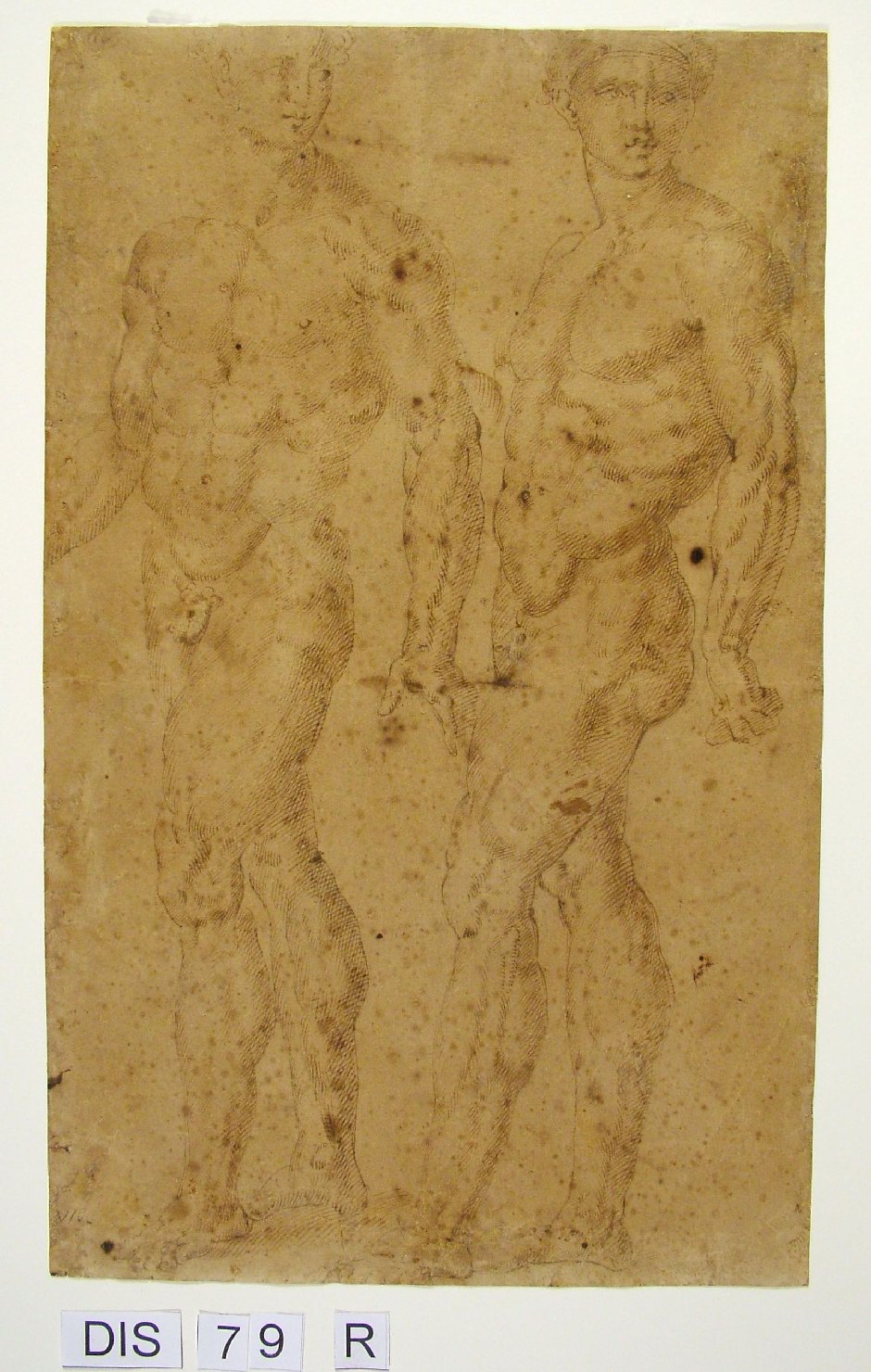 figura maschile (disegno) di Viti Timoteo (secc. XVI/ XVII)