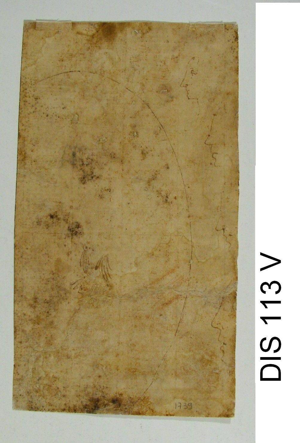 testa d'uomo di profilo (disegno) di Cimatori Antonio (attribuito) (secc. XVI/ XVII)