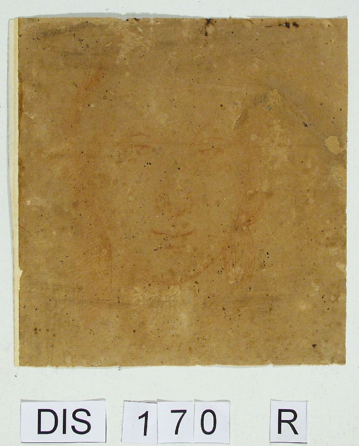 testa di donna (disegno) di Viti Timoteo (maniera) (secc. XV/ XVI)