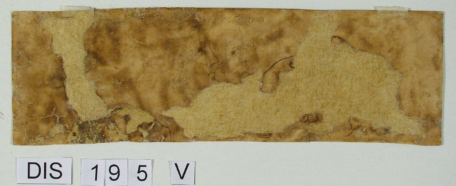 testa d'uomo di profilo (disegno) - ambito Italia centrale (sec. XVI)