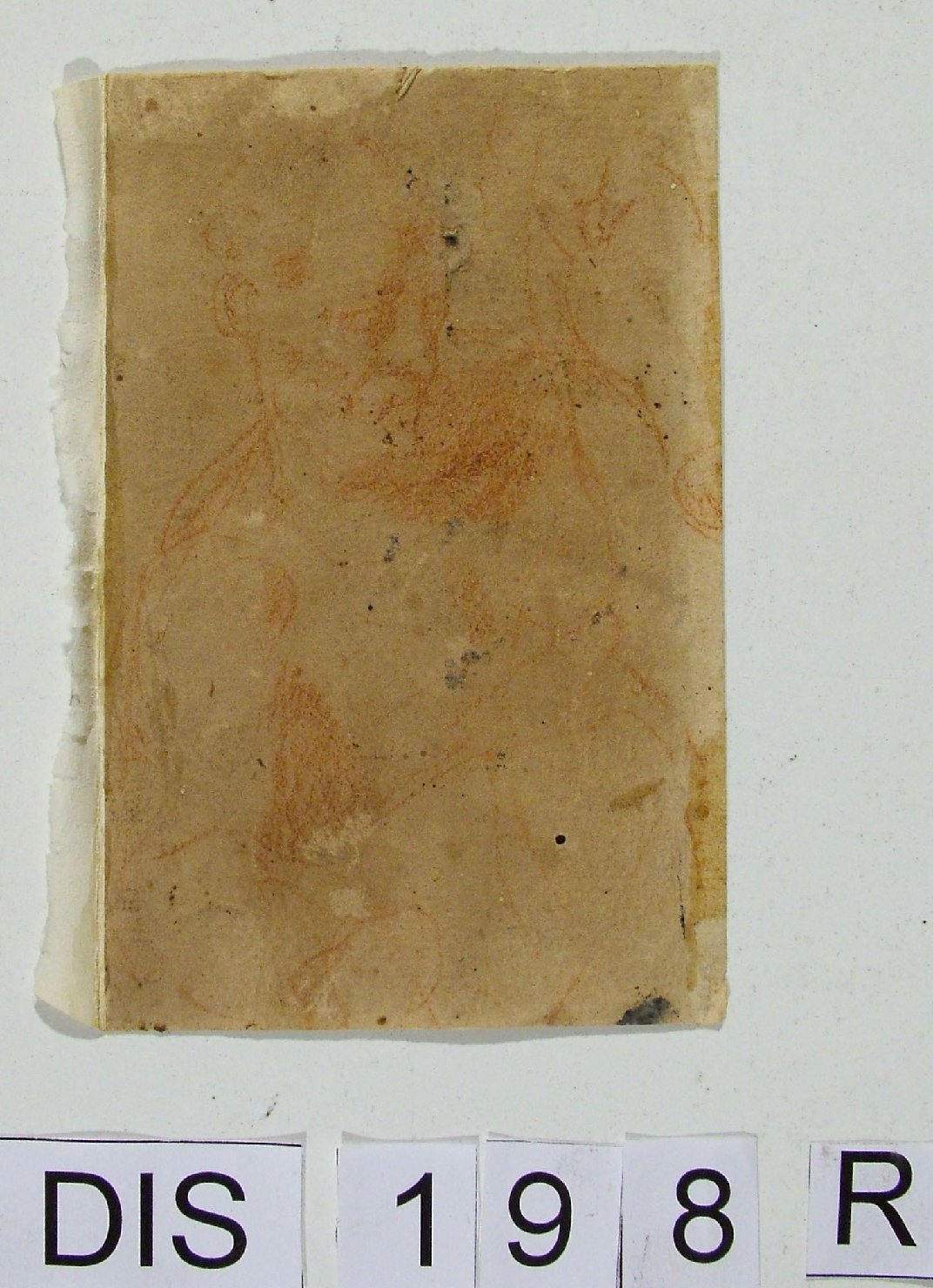 figura maschile di anziano (disegno) di Viviani Antonio (attribuito) (secc. XVI/ XVII)