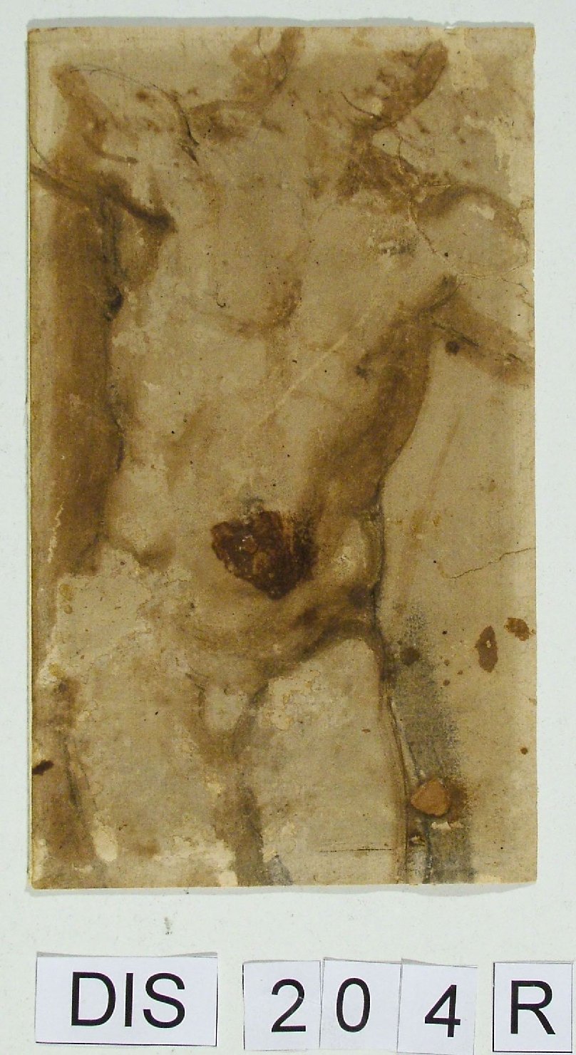 giovane nudo (disegno) di Viti Timoteo (attribuito) (secc. XV/ XVI)