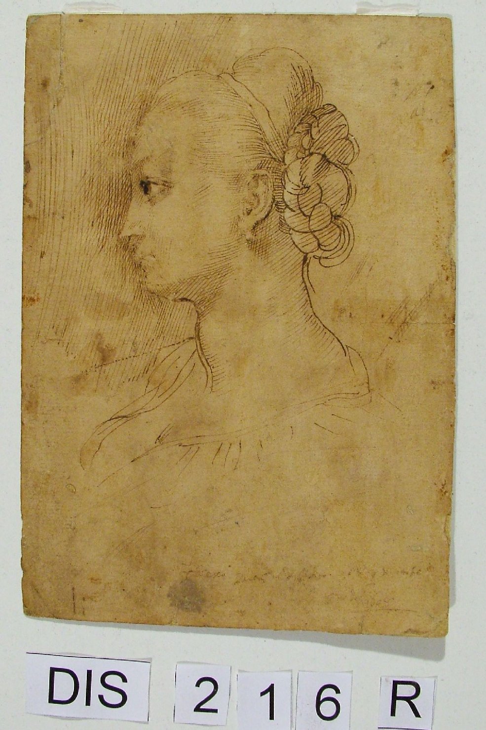 testa di donna (disegno) - ambito Italia centrale (secc. XVI/ XVII)