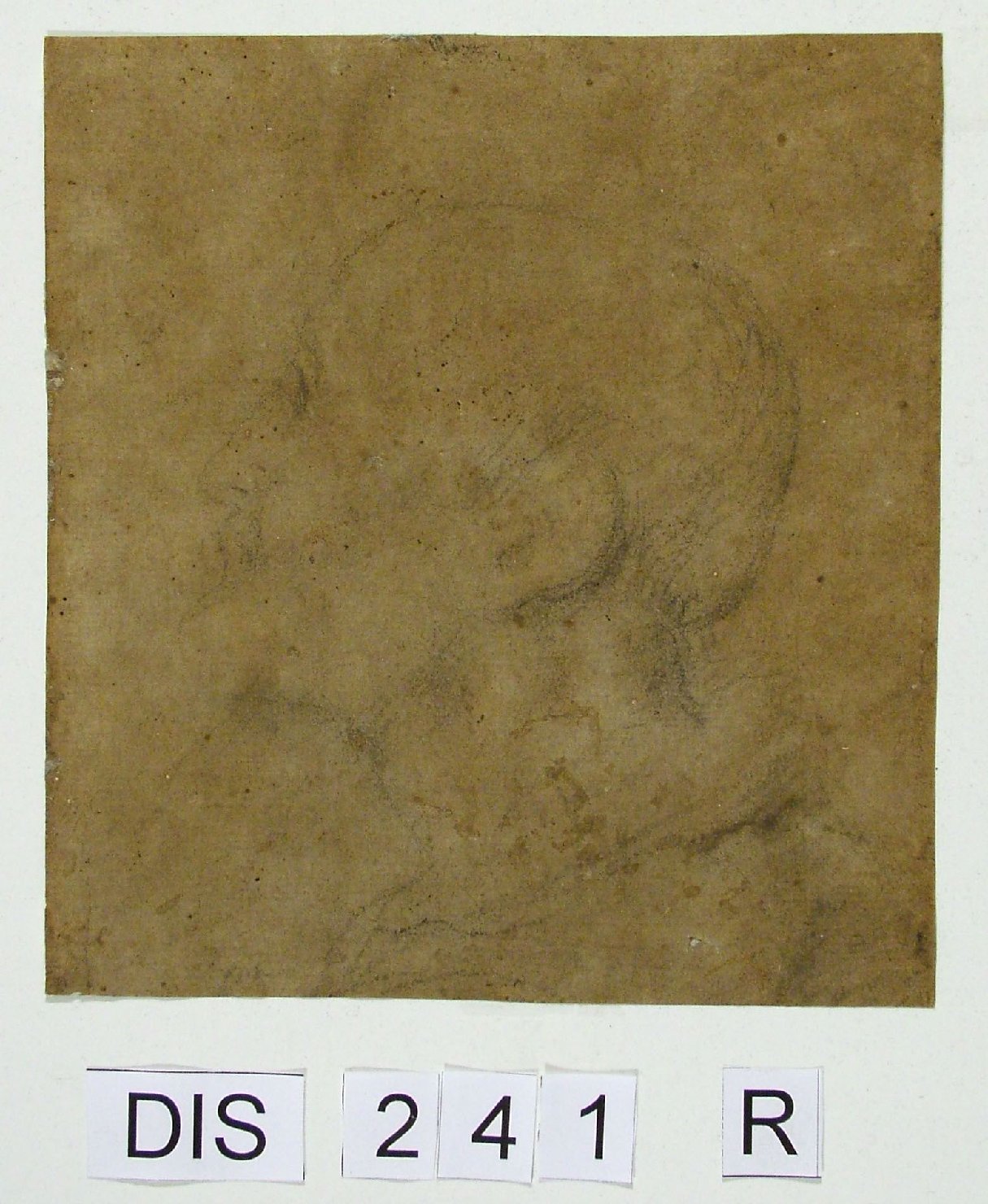 testa d'uomo di profilo (disegno) di Viviani Antonio (attribuito) (sec. XVII)