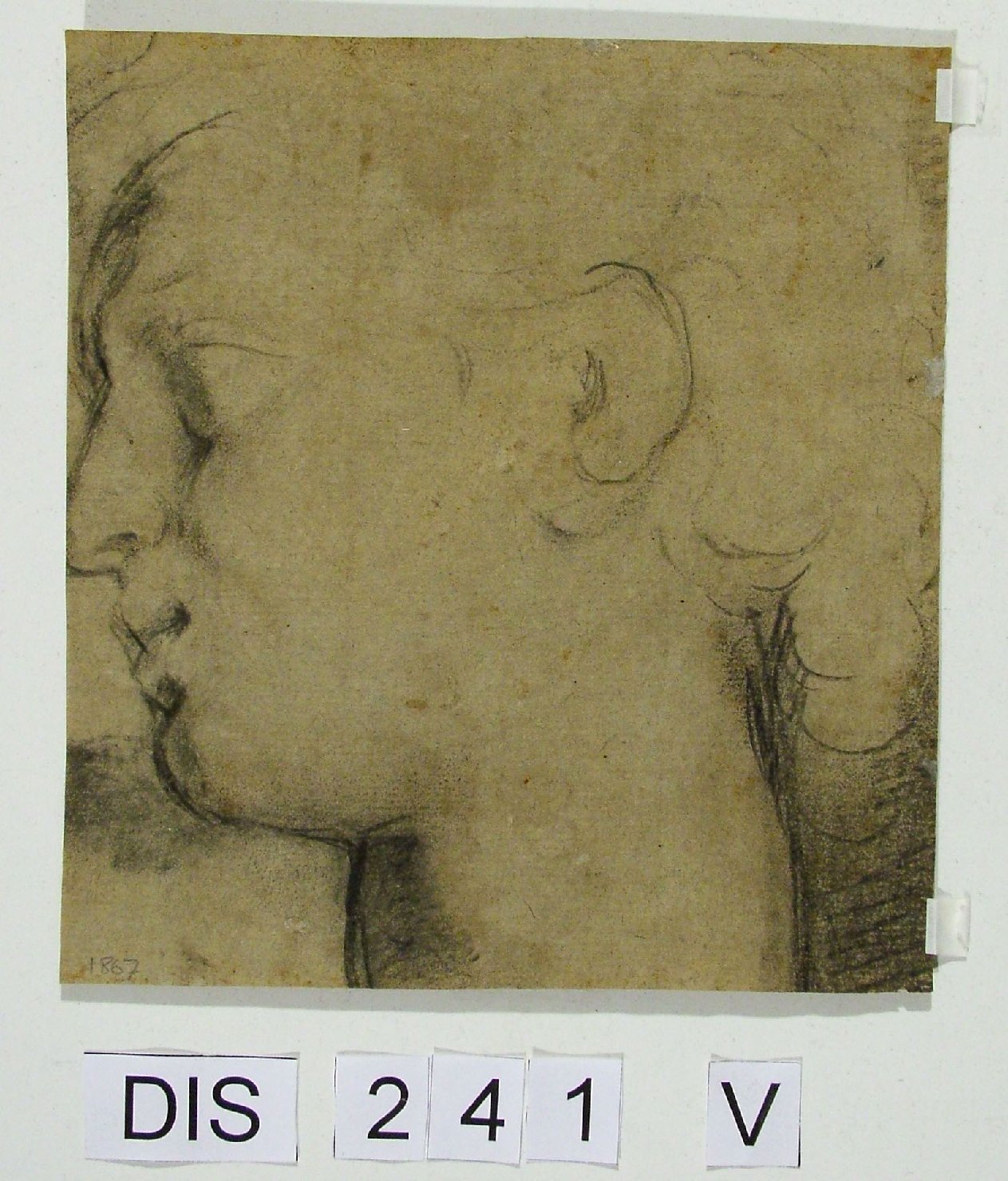 testa d'uomo di profilo (disegno) di Viviani Antonio (sec. XVII)