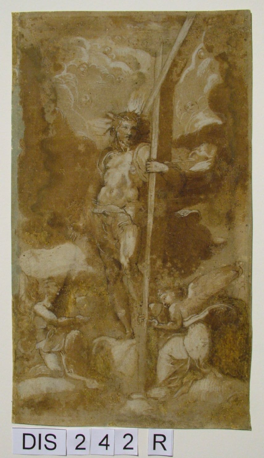 Cristo in gloria (disegno) - ambito marchigiano (seconda metà sec. XVI)