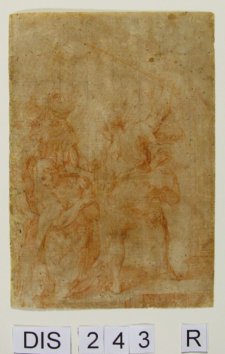 decapitazione di San Giovanni Battista (disegno) di Viviani Antonio (attribuito) (fine/inizio secc. XVI/ XVII)