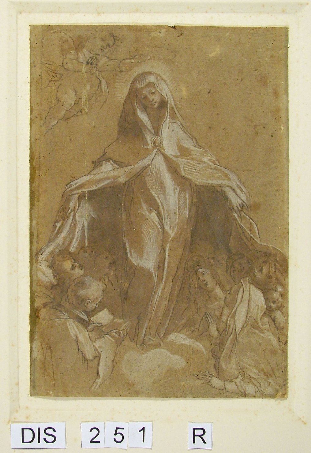 Madonna della Misericordia (disegno) - ambito marchigiano (fine/inizio secc. XVI/ XVII)