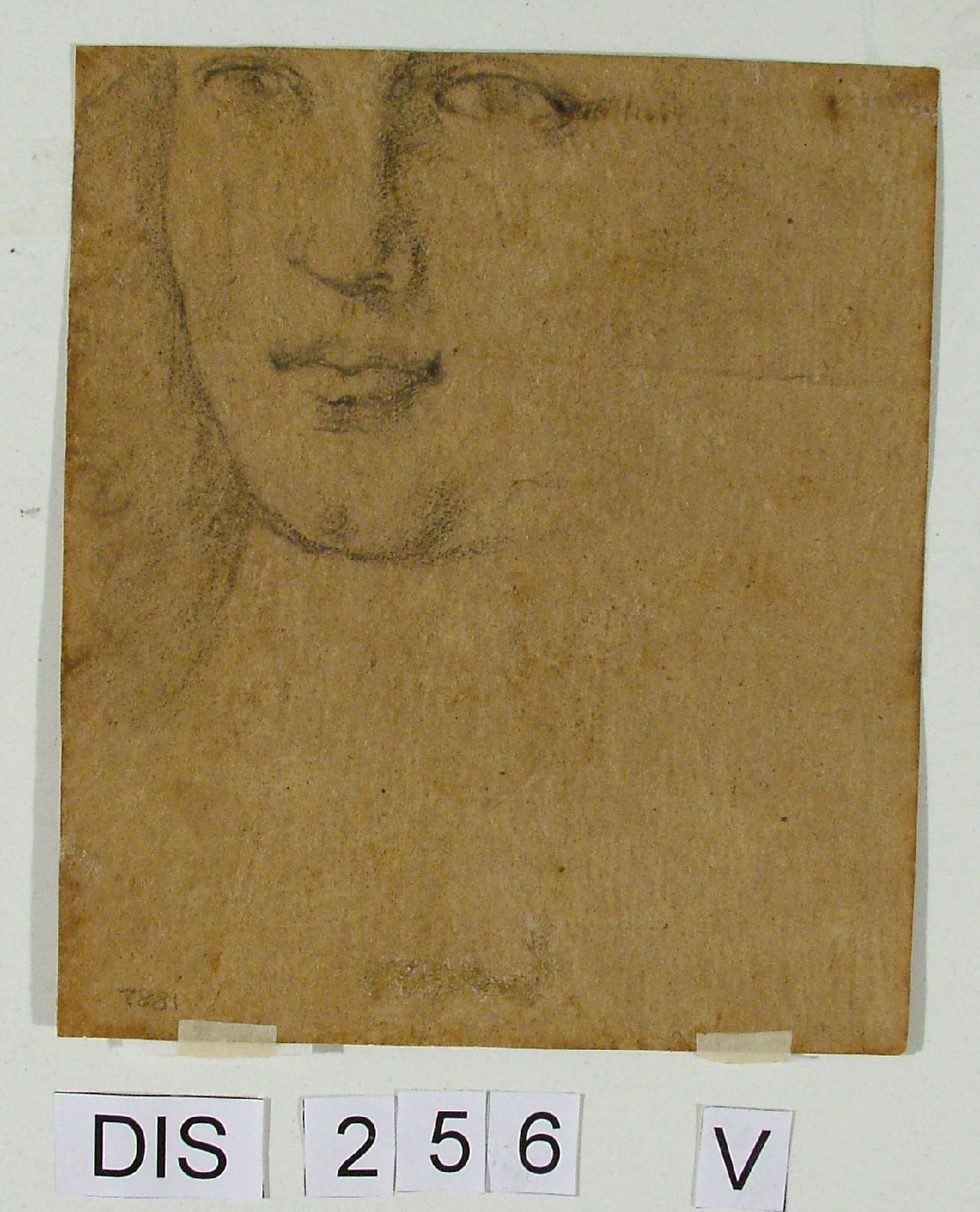 figura femminile (disegno) di Viviani Ludovico (attribuito) (fine/inizio secc. XVI/ XVII)