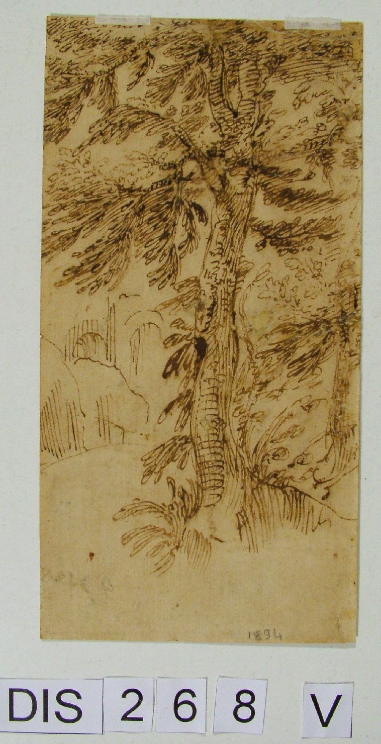 paesaggio con alberi (disegno) - ambito marchigiano (fine/inizio secc. XVI/ XVII)