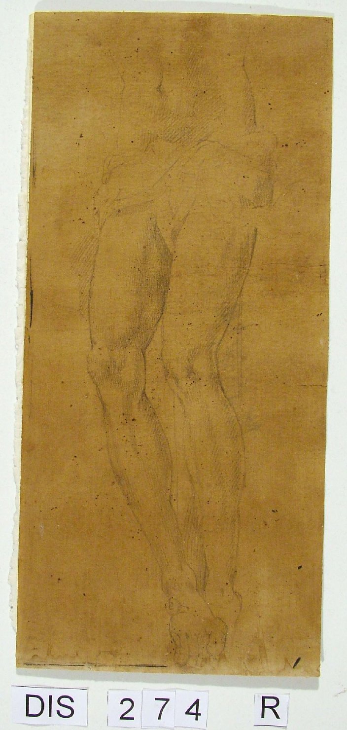 crocifissione (disegno) di Viviani Antonio (attribuito) (seconda metà sec. XVI)