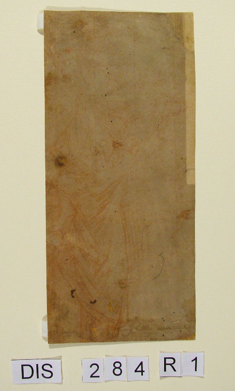figura femminile panneggiata (disegno) di Viviani Antonio (attribuito) (seconda metà sec. XVI)