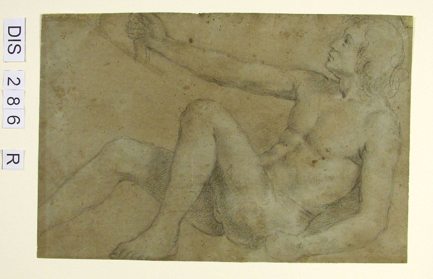 giovane nudo (disegno) di Viviani Ludovico (attribuito) (fine/inizio secc. XVI/ XVII)