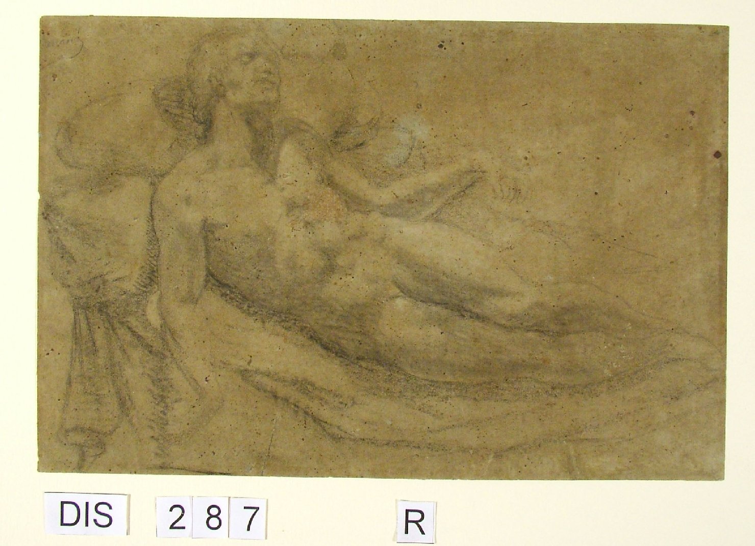 giovane nudo (disegno) di Viviani Antonio (attribuito) (fine/inizio secc. XVI/ XVII)