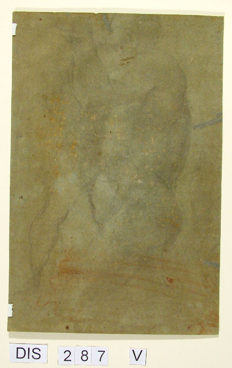 busto di uomo (disegno) di Viviani Antonio (attribuito) (fine/inizio secc. XVI/ XVII)